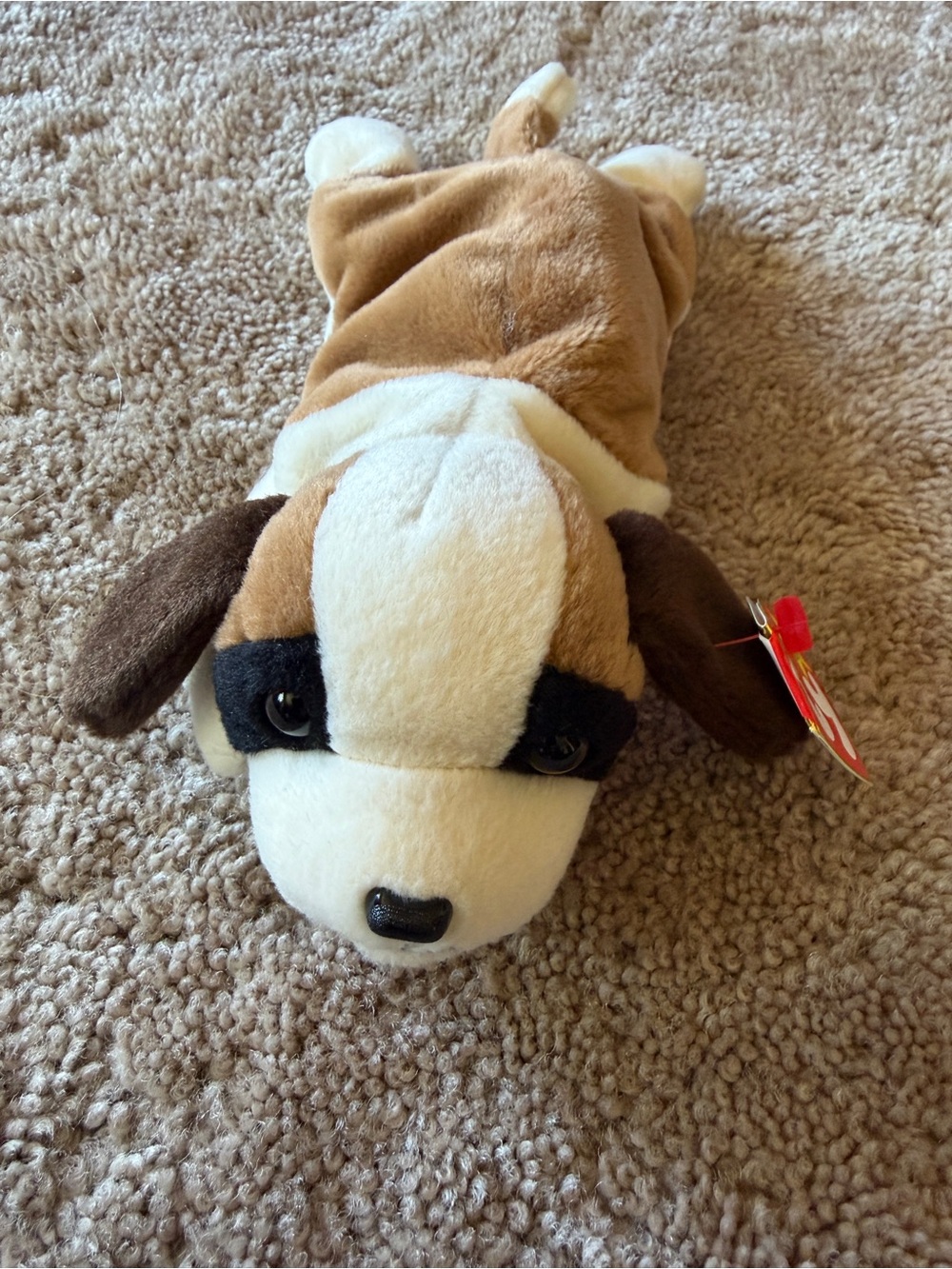Ty Beanie Baby NWT Brown, Cream & Dark Brown Plush Puppy Dog
